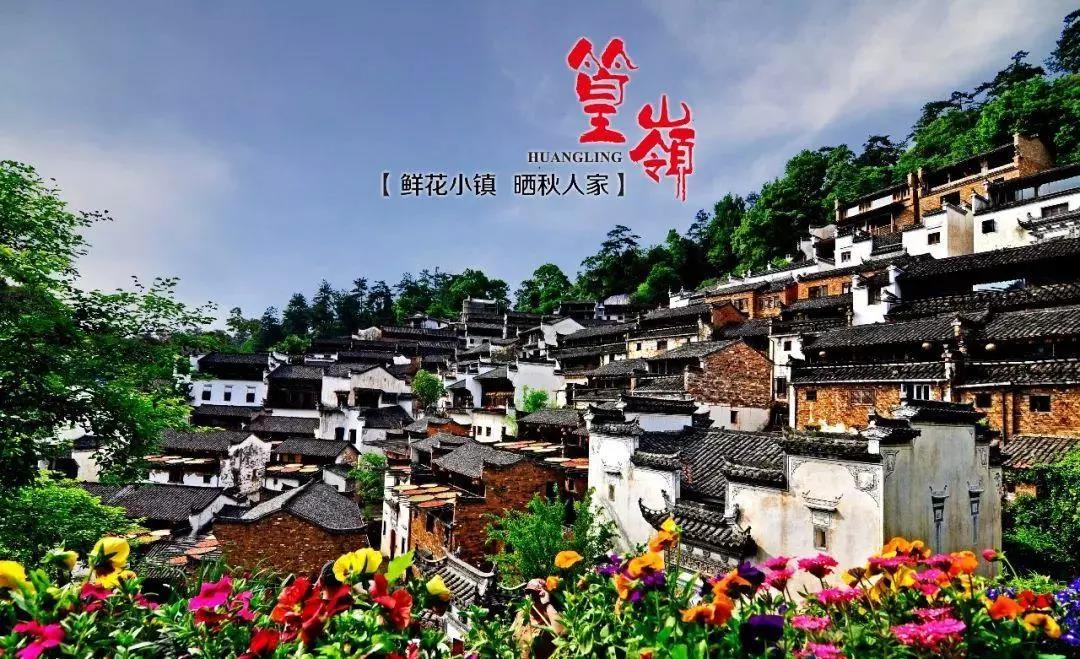 庐山、景德镇、鄱阳湖、屯溪老街、婺源篁岭、黄山双...